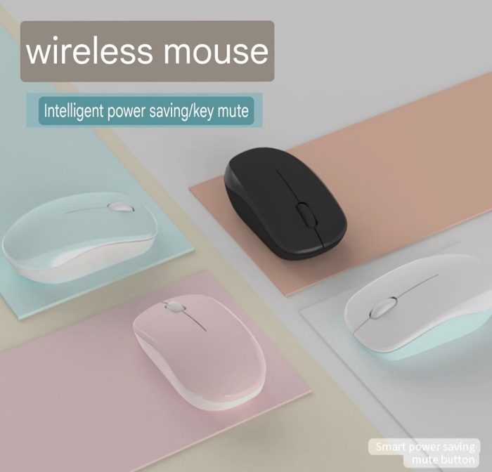 mouse