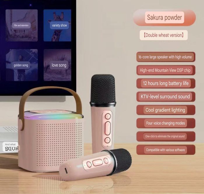 Wireless Karaoke Speaker Set