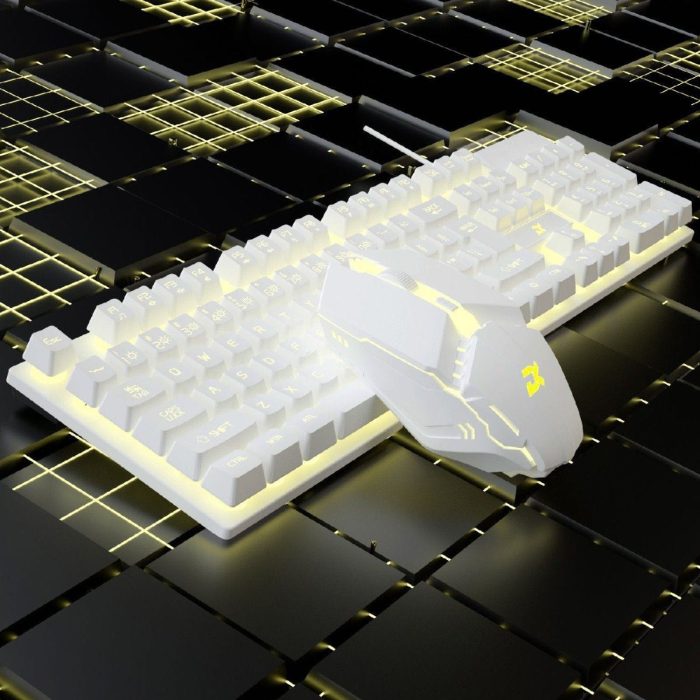 Keyboard and Mouse Set